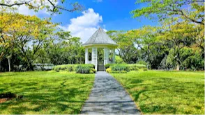 Singapore Botanic Gardens